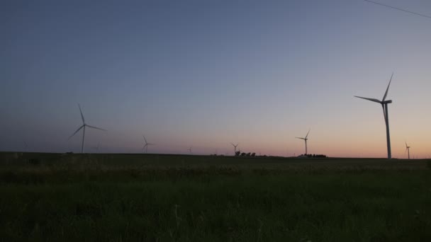 Rüzgâr Türbinleri Gün Batımında Buğday Tarlasında Duran Bir Rüzgar Parkının — Stok video