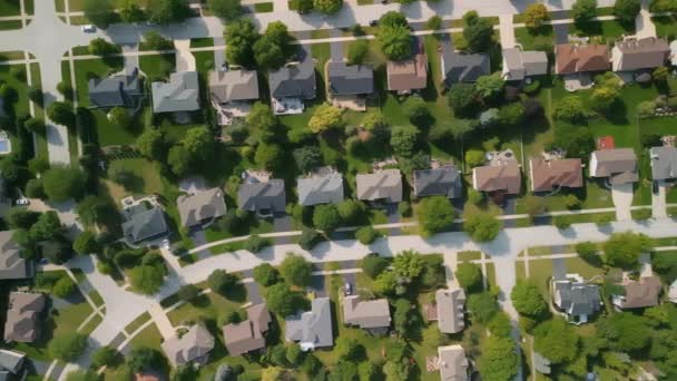 Drone View American Suburb Summertime Establishing Shot Neighborhood High Quality — Stock videók