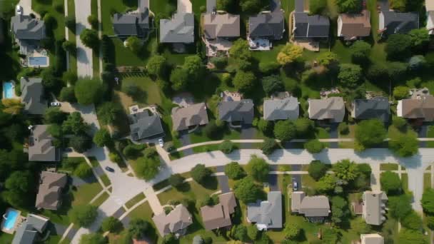 Drone View American Suburb Summertime Establishing Shot Neighborhood High Quality — kuvapankkivideo