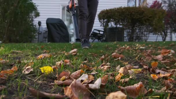 Человек Выдувает Листья Дворе Осенний Сезон Медленное Движение Высококачественные Кадры — стоковое видео