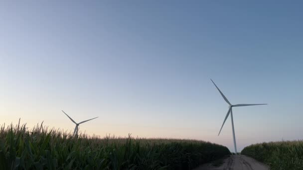 夕暮れ時に小麦畑に風車が立ち並ぶ風力発電所の風景です そうだ 高品質4K映像 — ストック動画