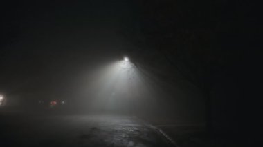 Arabalar gece vakti sis ve duman yolunda ilerler. Yüksek kalite 4k görüntü
