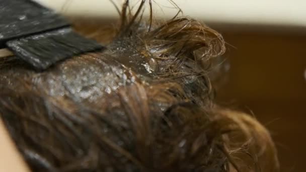 Забарвлення Волосся Крупним Планом Перукарська Рука Фарбує Коріння Волосся Пензлем — стокове відео