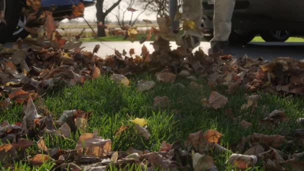 Muž Fouká Listí Dvorku Podzimním Období Zpomal Vysoce Kvalitní Záběry — Stock video