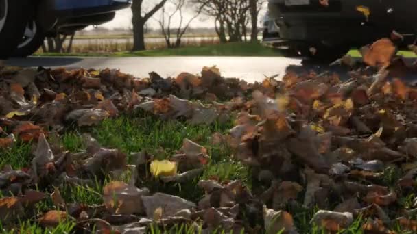 Homem Soprando Folhas Quintal Temporada Outono Movimento Lento Imagens Alta — Vídeo de Stock
