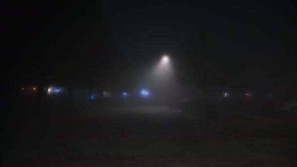 Strada Vuota Fumo Nebbia Durante Notte Filmati Alta Qualità — Video Stock