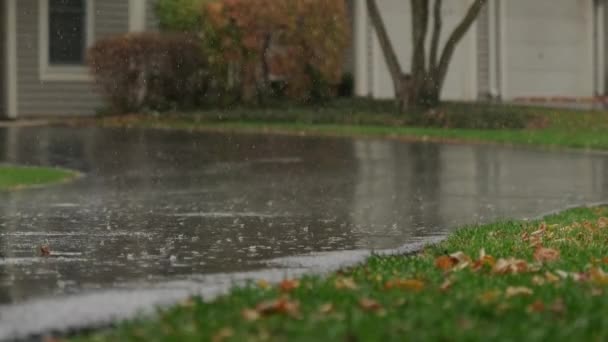 Slow Motion Heavy Rain Water Drops Falling Big Puddle Asphalt — Stockvideo