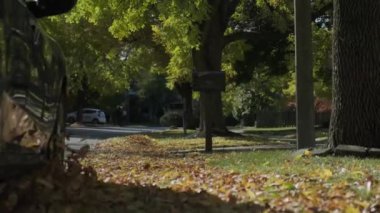 Yavaş çekimde araba sürmek, sonbahar yapraklarında uçmak, canlı renkler, düşük açılı yakın görüş. Yüksek kalite 4k görüntü