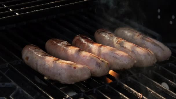 Griller Saucisse Sur Barbecue Charbon Bois Avec Feu Ralenti Images — Video