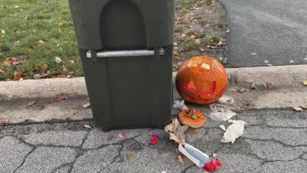Una Calabaza Desechada Después Halloween Papelera Con Desperdicio Comida Imágenes — Vídeos de Stock
