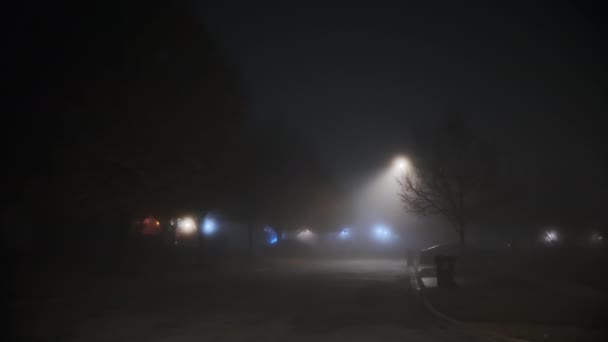 Estrada Vazia Fumo Nevoeiro Noite Imagens Alta Qualidade — Vídeo de Stock