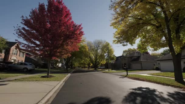 Parlak Sarı Kırmızı Yapraklı Ağaç Sonbahar Günü Şehir Caddesinde Rüzgarla — Stok video