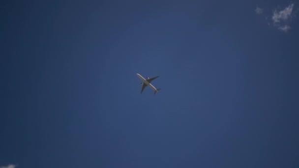 Gökyüzünde Uçan Yolcu Uçağı Yüksek Kalite Görüntü — Stok video