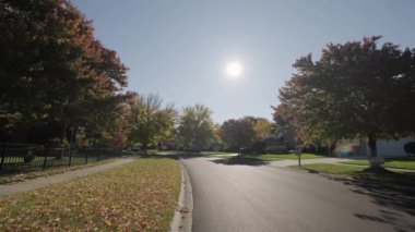 Parlak sarı ve kırmızı yapraklı ağaç sonbahar günü şehir caddesinde rüzgarla ve güneş ışığıyla sallanıyor. Yüksek kalite 4k görüntü