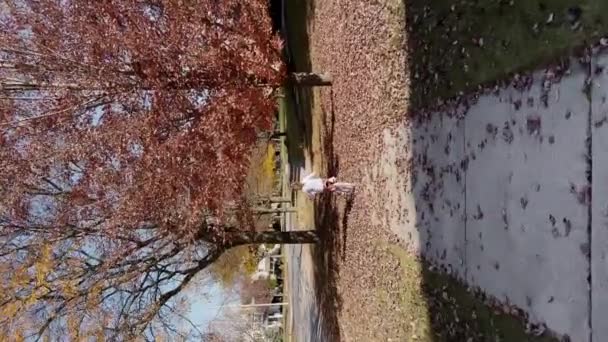Стріляла Позаду Маленької Дівчинки Катаючись Велосипеді Парку Передмісті Сонячний Осінній — стокове відео
