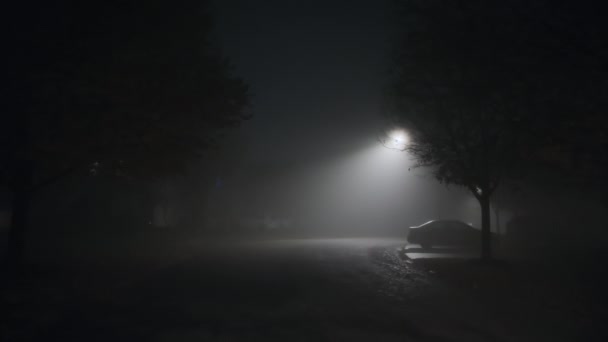 Strada Vuota Fumo Nebbia Durante Notte Filmati Alta Qualità — Video Stock