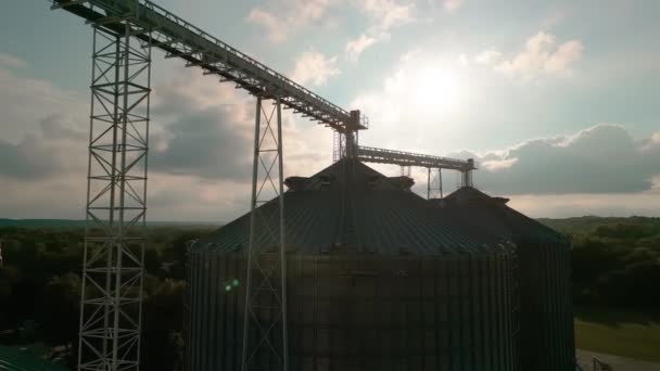 谷物干燥综合体电梯金属罐 农业收获用钢罐 高质量的4K镜头 — 图库视频影像
