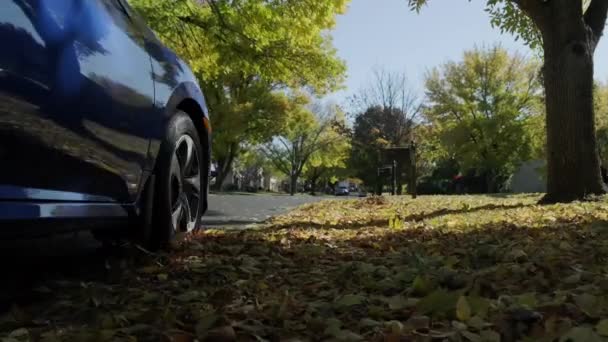 Samochód Zwolnionym Tempie Latające Jesienne Liście Żywe Kolory Niski Kąt — Wideo stockowe