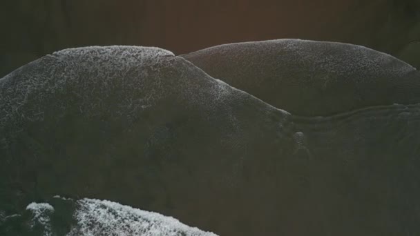 Воздушный Сверху Вниз Выстрел Волны Океана Рулон Крушения Берегу Прямой — стоковое видео