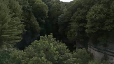 Aç Kaya Eyalet Parkı 'nın insansız hava aracı görüntüsü. Yüksek kalite 4k görüntü