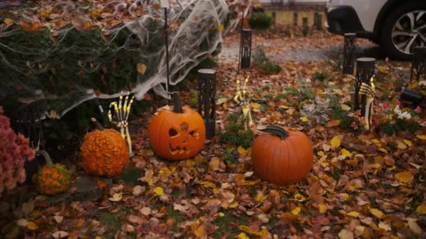 Calabazas Halloween Cerca Casa Imágenes Alta Calidad — Vídeos de Stock