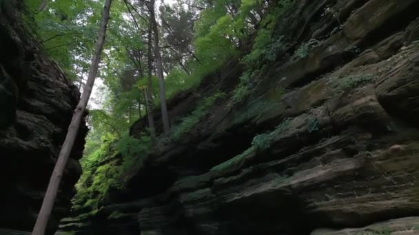 Aerial Drone Shot Starved Rock State Park High Quality Footage — Stock Video