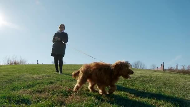緑の芝生の公園で愛らしいGoldendoodle犬と遊ぶインスピレーションを受けた女性 高品質4K映像 — ストック動画