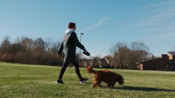 Mujer Inspirada Jugando Con Adorable Perro Goldendoodle Parque Con Hierba — Vídeos de Stock