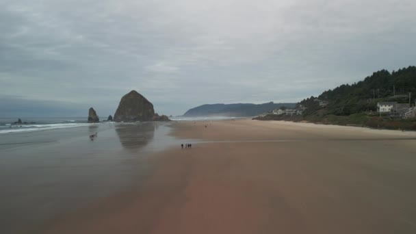 オレゴン州キャノン ビーチの空中撮影 高品質4K映像 — ストック動画