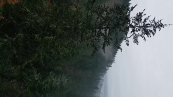 Vista Aérea Tempo Chuvoso Nas Montanhas Nevoeiro Soprando Sobre Floresta — Vídeo de Stock