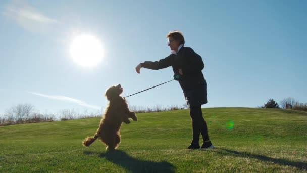 Вдохновлённая Женщина Играет Очаровательной Собакой Голдендудл Парке Зелёной Травой Высококачественные — стоковое видео