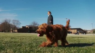 Yeşil çimenli bir parkta sevimli Goldendoodle köpeğiyle oynayan ilham verici bir kadın. Yüksek kalite 4k görüntü