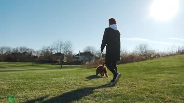 緑の芝生の公園で愛らしいGoldendoodle犬と遊ぶインスピレーションを受けた女性 高品質4K映像 — ストック動画