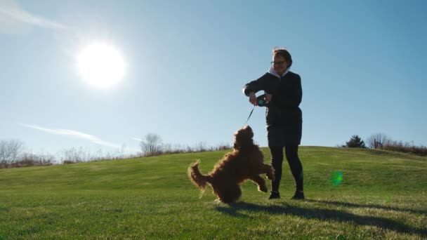 Mulher Inspirada Brincando Com Adorável Cão Goldendoodle Parque Com Grama — Vídeo de Stock