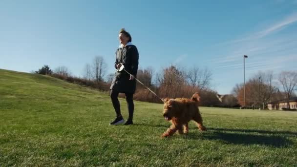 Mulher Inspirada Brincando Com Adorável Cão Goldendoodle Parque Com Grama — Vídeo de Stock