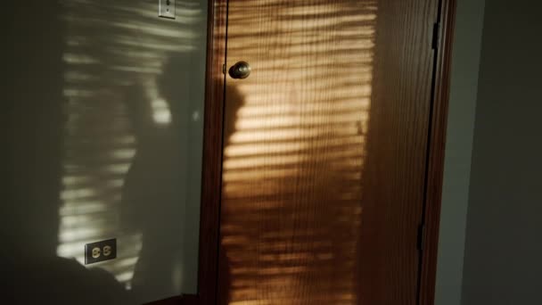 Силует Жінки Робить Ранкові Вправи Своїй Кімнаті Рано Вранці Сонячним — стокове відео