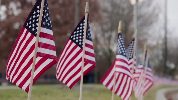 Fora Das Lentas Bandeiras Americanas Soprar Vento Conceito Patriótico Para — Vídeo de Stock