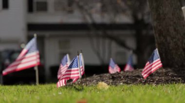 Rüzgarda dalgalanan Amerikan bayrakları dışında. ABD bayramları için vatanseverlik konsepti, 4 Temmuz, Anma Günü veya Gaziler Günü. Yüksek kalite 4k görüntü