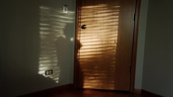 Силует Жінки Танцює Своїй Кімнаті Рано Вранці Сонячним Світлом Широкий — стокове відео