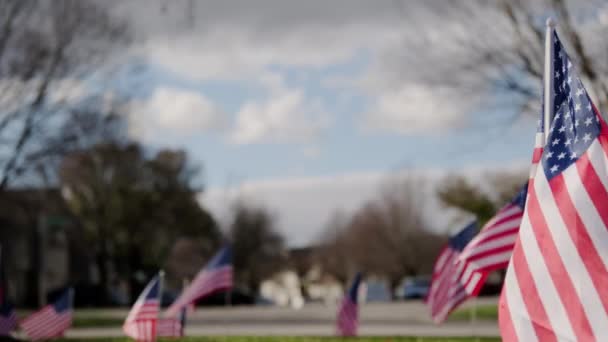 Rüzgarda Dalgalanan Amerikan Bayrakları Dışında Abd Bayramları Için Vatanseverlik Konsepti — Stok video