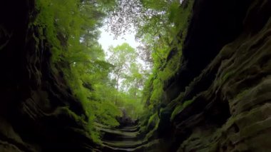 Açlıktan ölen Rock State Park. Yüksek kalite 4k görüntü