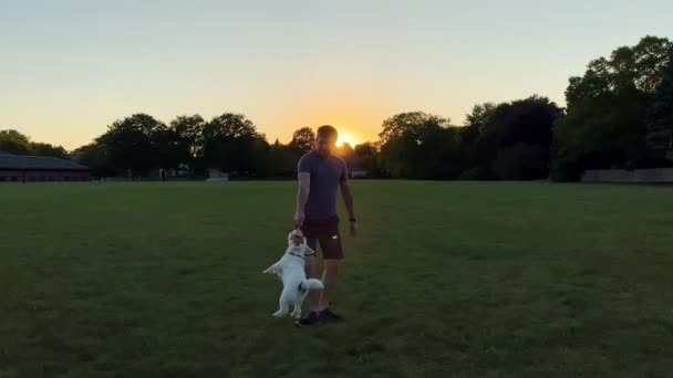 Ember Kutyájával Játszik Szabadban Esténként Vicces Jack Russell Kutya Komló — Stock videók