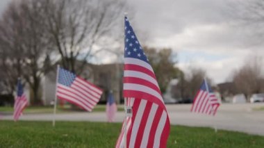 Rüzgarda dalgalanan Amerikan bayrakları dışında. ABD bayramları için vatanseverlik konsepti, 4 Temmuz, Anma Günü veya Gaziler Günü. Yüksek kalite 4k görüntü