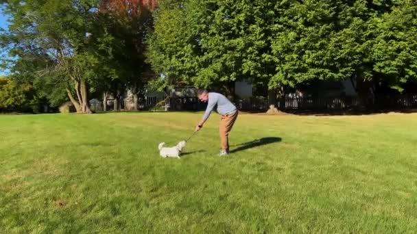 Ember Kutyájával Játszik Szabadban Esténként Vicces Jack Russell Kutya Komló — Stock videók