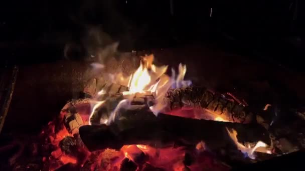 Fogueira Após Incêndio Foi Queimada Fim Preparar Lenha Para Churrasco — Vídeo de Stock