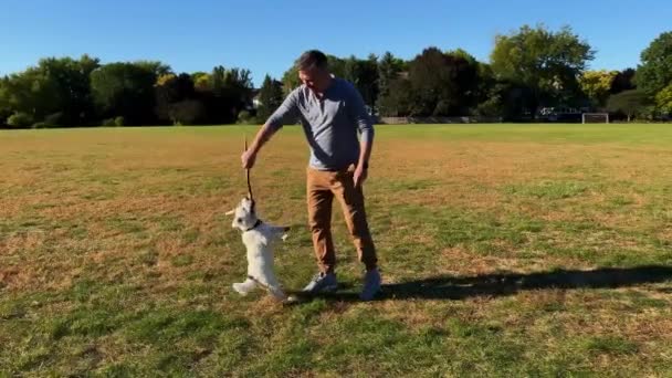 Homem Brinca Com Seu Cão Livre Uma Noite Funny Jack — Vídeo de Stock