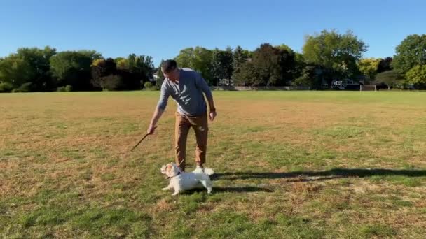Adam Bir Akşam Köpeğiyle Açık Havada Oynuyor Komik Jack Russell — Stok video