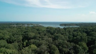 Sahildeki renkli ormanın havadan görünüşü ve Connecticut 'taki güzel mavi renkli su. Yüksek kalite 4k görüntü