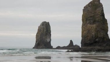 Oregon, Cannon Sahili 'ndeki saman yığını plajının görüntüleri. Yüksek kalite 4k görüntü