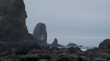 Oregon, Cannon Sahili 'ndeki saman yığını plajının görüntüleri. Yüksek kalite 4k görüntü